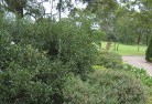 Somerton VICresidential-landscaping-35.jpg; ?>